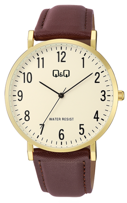 Q&Q - C43A-004PY Erkek Kol Saati