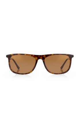 Daniel Klein - DKS.1.3292.COL02 Erkek Güneş Gözlüğü