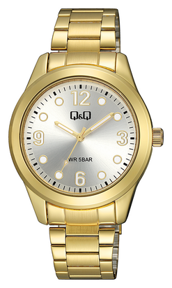 Q&Q - Q35B-004PY Erkek Kol Saati