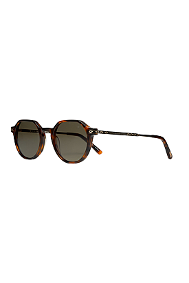 SB1161COL04  Unisex Güneş Gözlüğü 