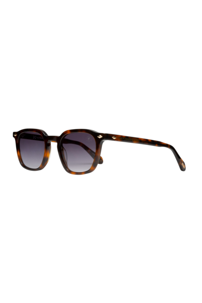 SB1162COL01  Unisex Güneş Gözlüğü