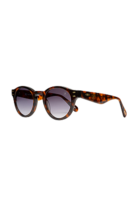 SB1164COL03  Unisex Güneş Gözlüğü 